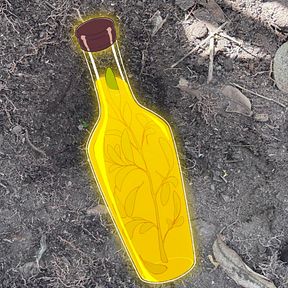 Pachamama Interactive